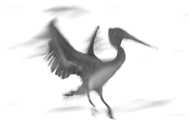 abstract image of brown pelican